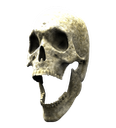 skullpog
